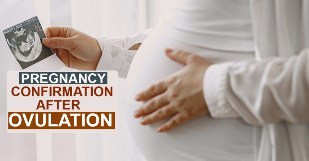 Pregnancy confirmation after ovulation